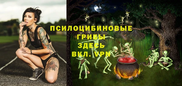 спиды Алзамай