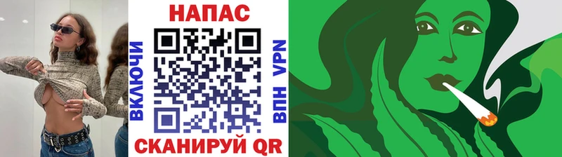 Шишки марихуана семена  что такое наркотик  Фролово 